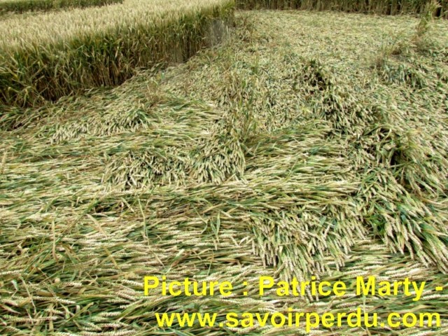 Avebury Stone Circle, Wiltshire crop circle, aerial photo 76
